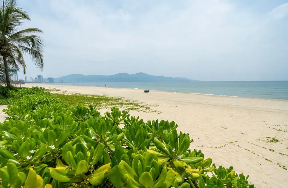 DP-031 숙소 사진 8