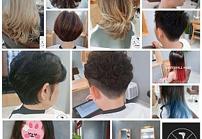 마샬헤어 사진 2